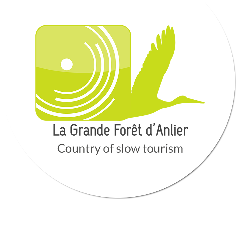 La Grande Forêt d'Anlier - Pays du slow tourisme